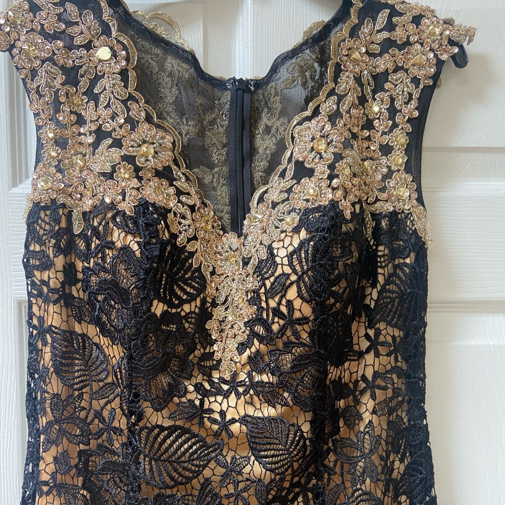 embroidered guipure evening dress